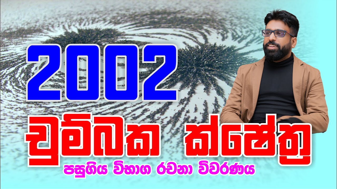 Mahen Jecob | චුම්බක ක්ෂේත්‍ර | Magnetic Fields | 2002 Essay