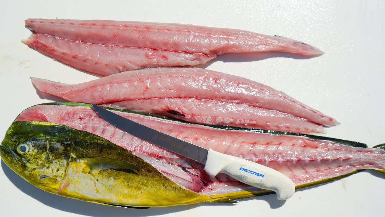 How To Fillet and Clean Mahi-Mahi- Dolphin (aka Dorado)