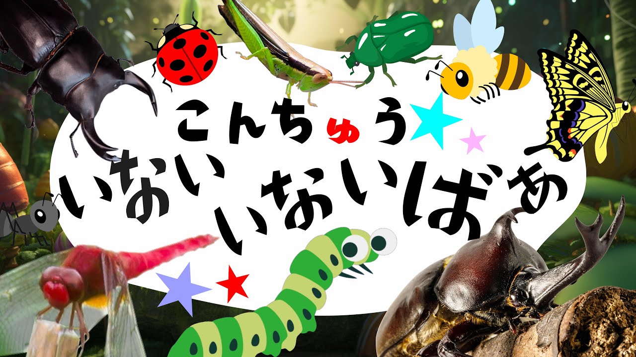 大人気★昆虫いっぱい！【こんちゅう いないいないばあ】知育★昆虫大集合！カブトムシ クワガタ あおむし アゲハチョウ ぐるぐる オノマトペもあり★ みんなあつまれ！昆虫採集★赤ちゃん 子供向け