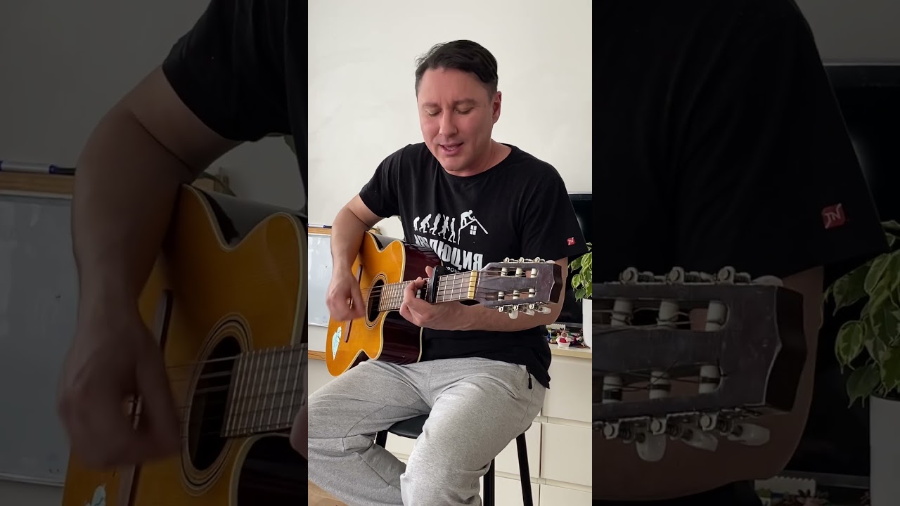 Пластмассовая жизнь - Аероффлотт сплин кавер #гитара #cover #игратьнагитаре #урокигитарыонлайн