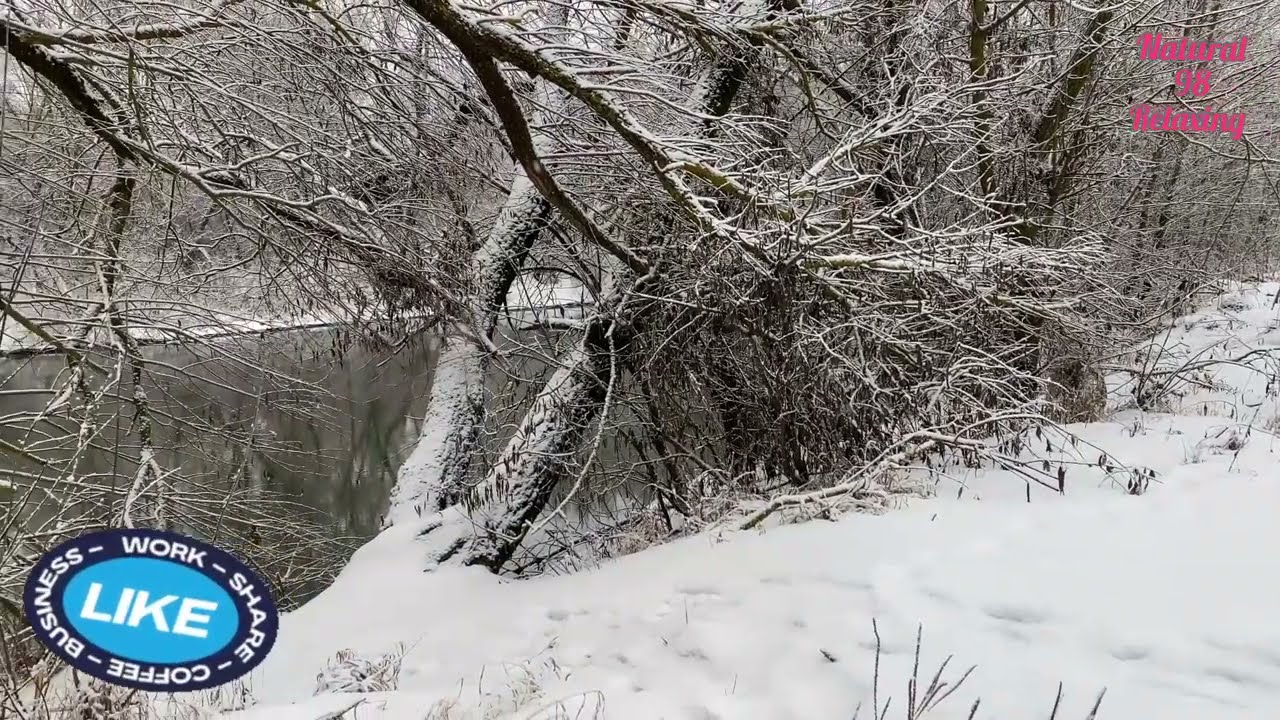 Beautiful Pictures Relaxing Music 🎶 Natural 98 Relaxing