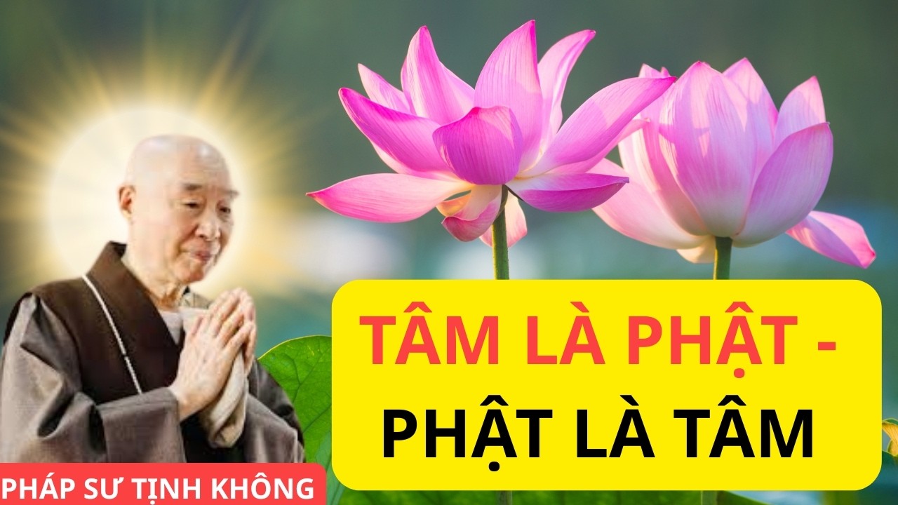 TÂM LÀ PHẬT - PHẬT LÀ TÂM - PHÁP SƯ TỊNH KHÔNG