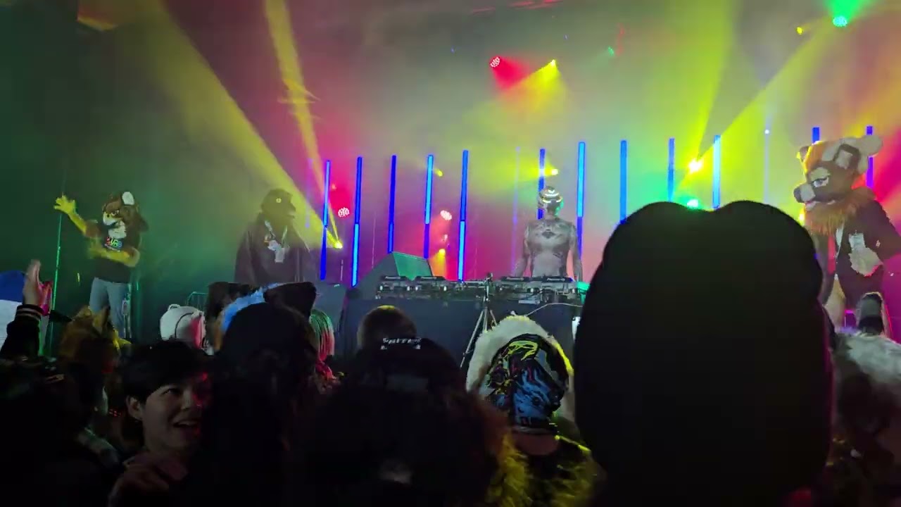 Avian Invasion At MFF2024 (Part 2/2)