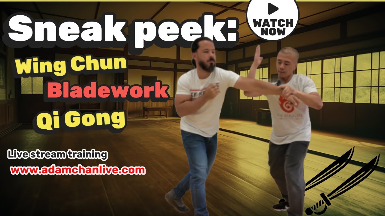 Solo Drills & Application:  Weapons & Qi Gong  -  Adam Chan Martial Arts