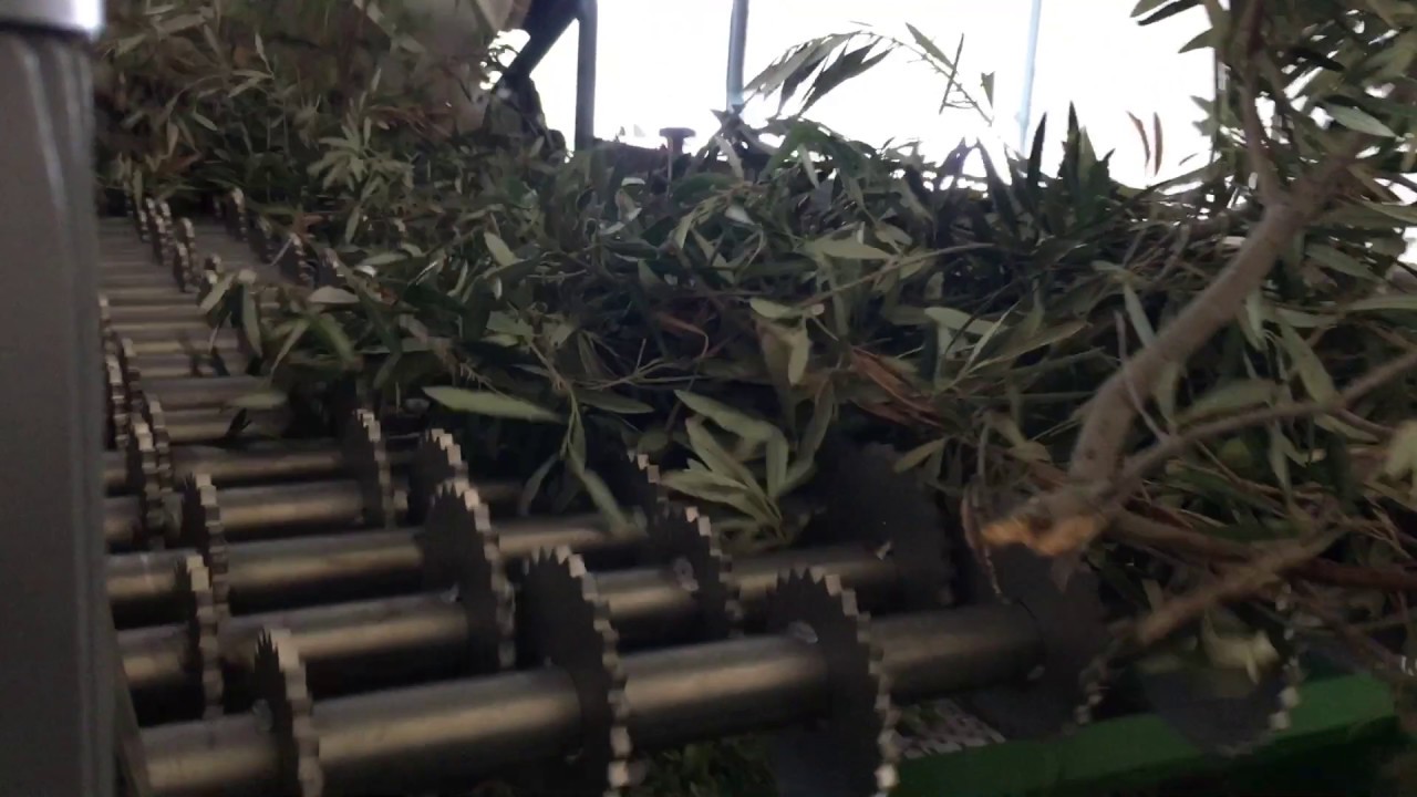 QUITARRAMAS IHC fabricado en Acero Inox