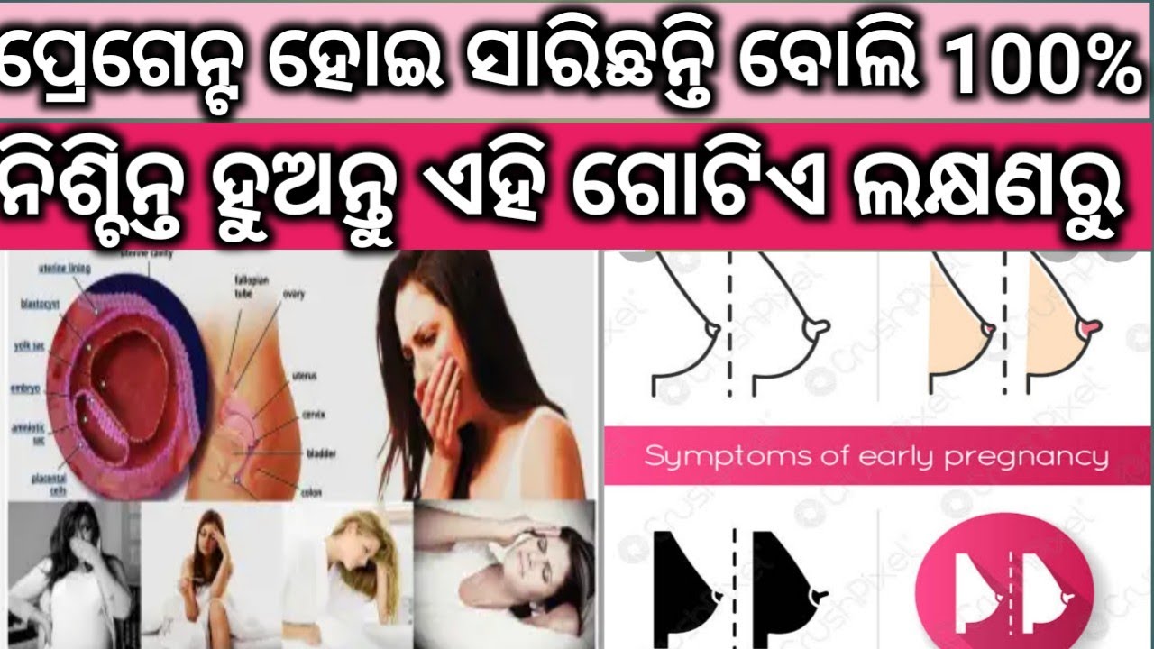 Early Pregnancy Symptoms।ପ୍ରେଗେନ୍ଟ ହୋଇ ସାରିଛନ୍ତି ବୋଲି ଏହି ଲକ୍ଷଣରୁ 100 % ନିଶ୍ଚିନ୍ତ ହୁଅନ୍ତୁ।#pregnancy