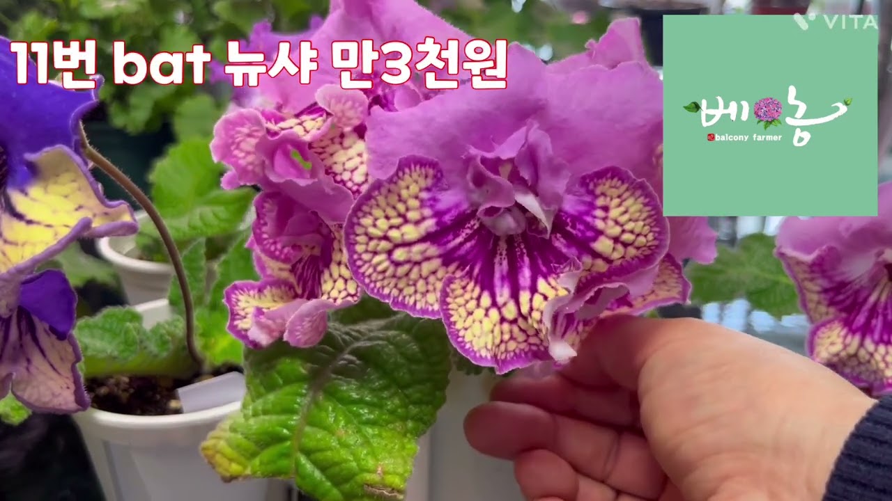 2026년 3월 17일