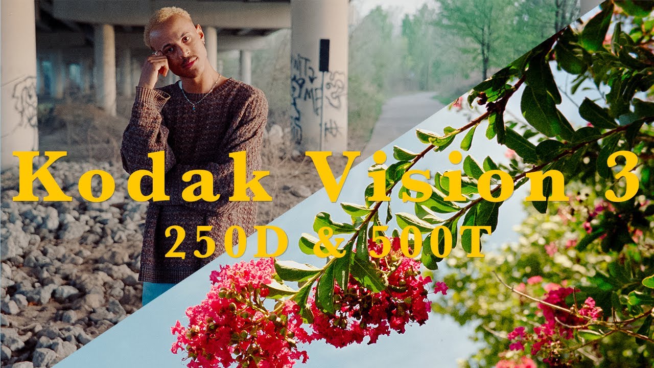 Лучшая (и самая дешевая) 35-мм киноплёнка | Kodak Vision 3