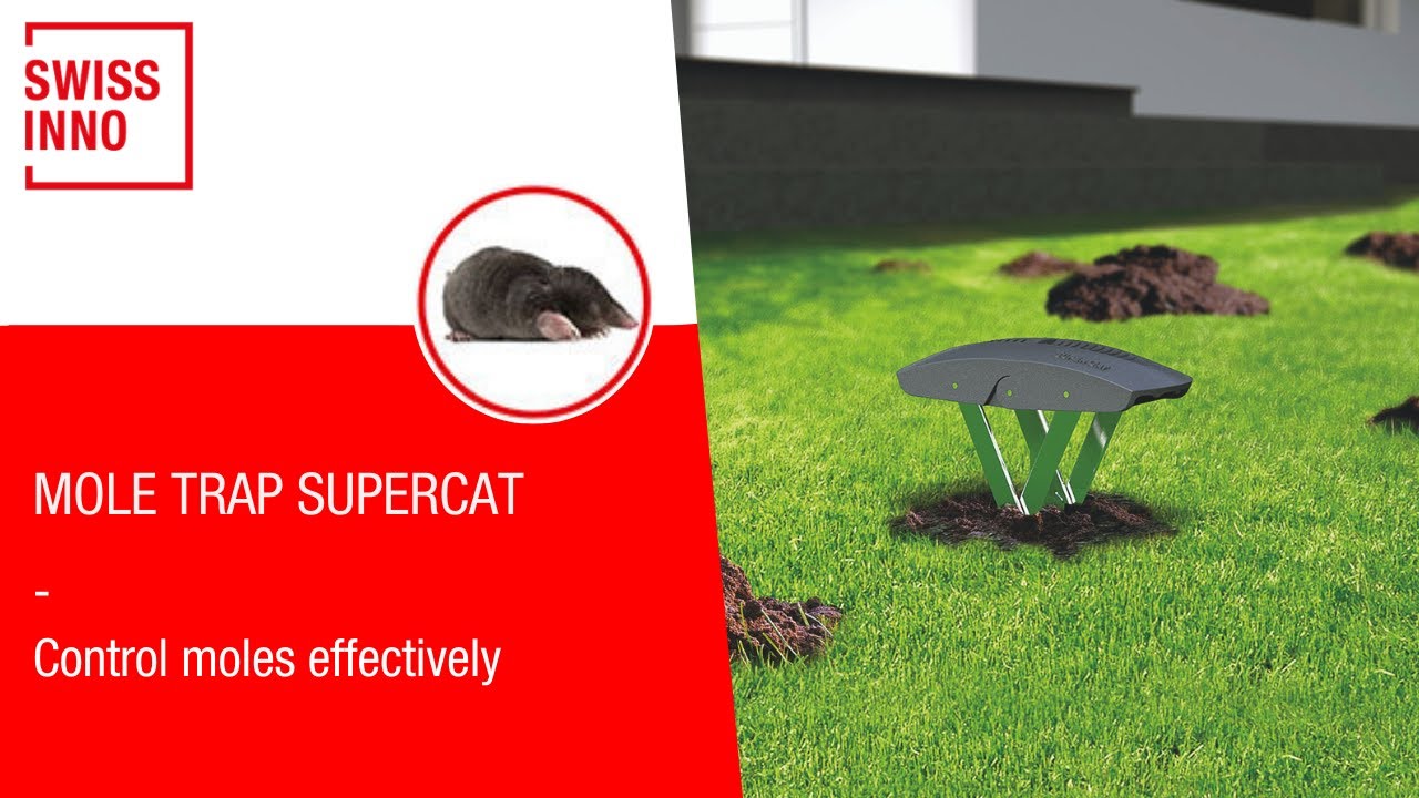 Mole Trap SuperCat SWISSINNO