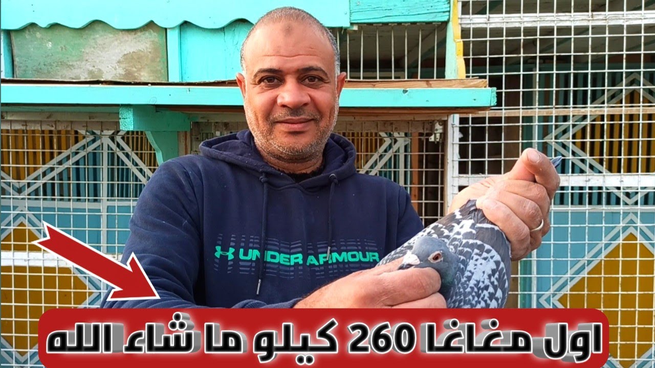 الحمدلله وعقبال القادم ان شاء الله فوز البطل ايمن انور في سباق 260 كيلو جو وحصوله علي المراكز الاولي