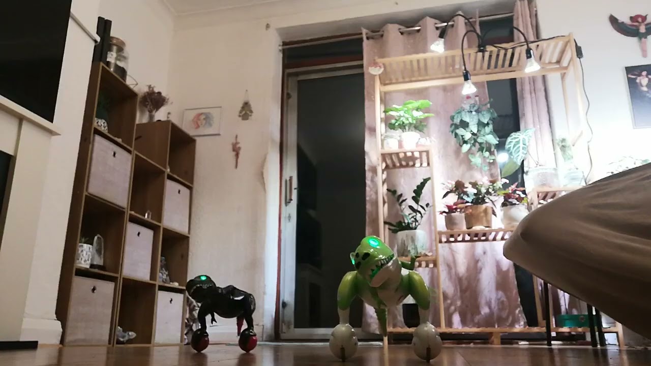 Zoomer dinos