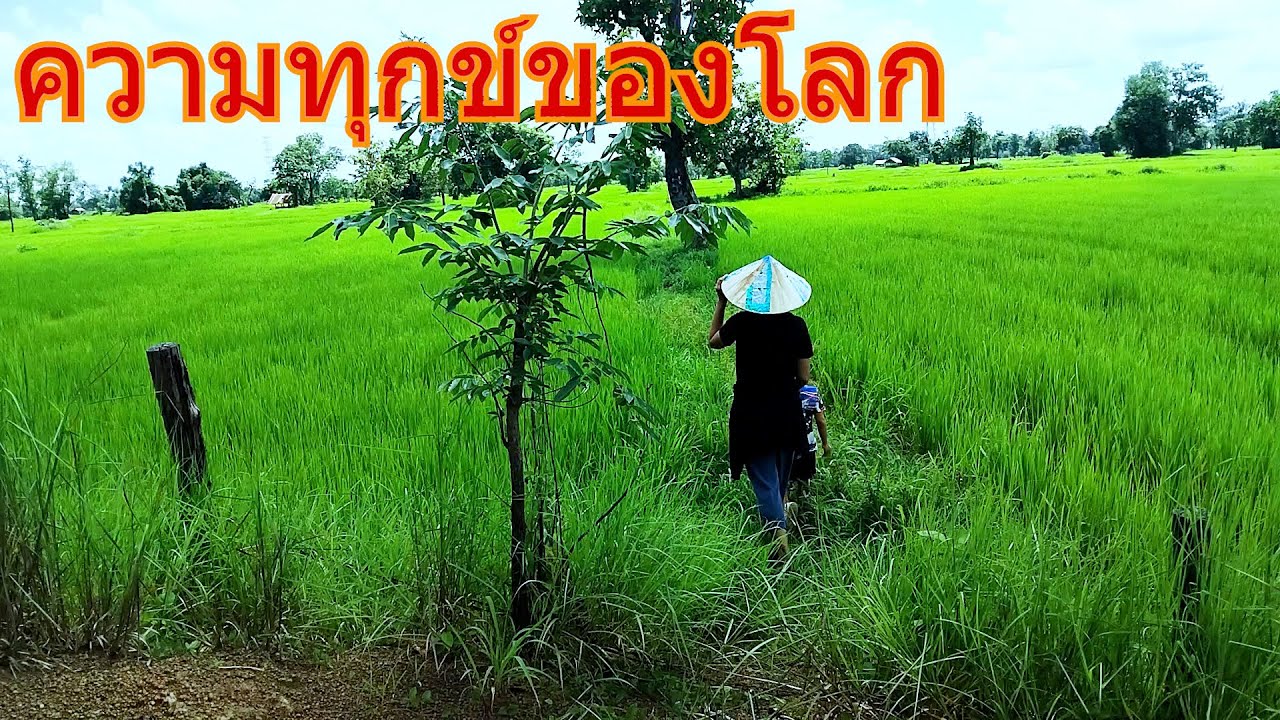 ความทุกข์ของโลก