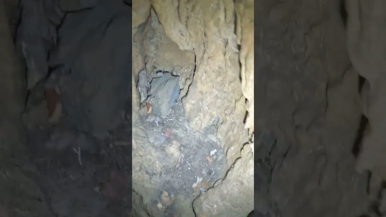 Our First Vertical Cave! 50’ drop!