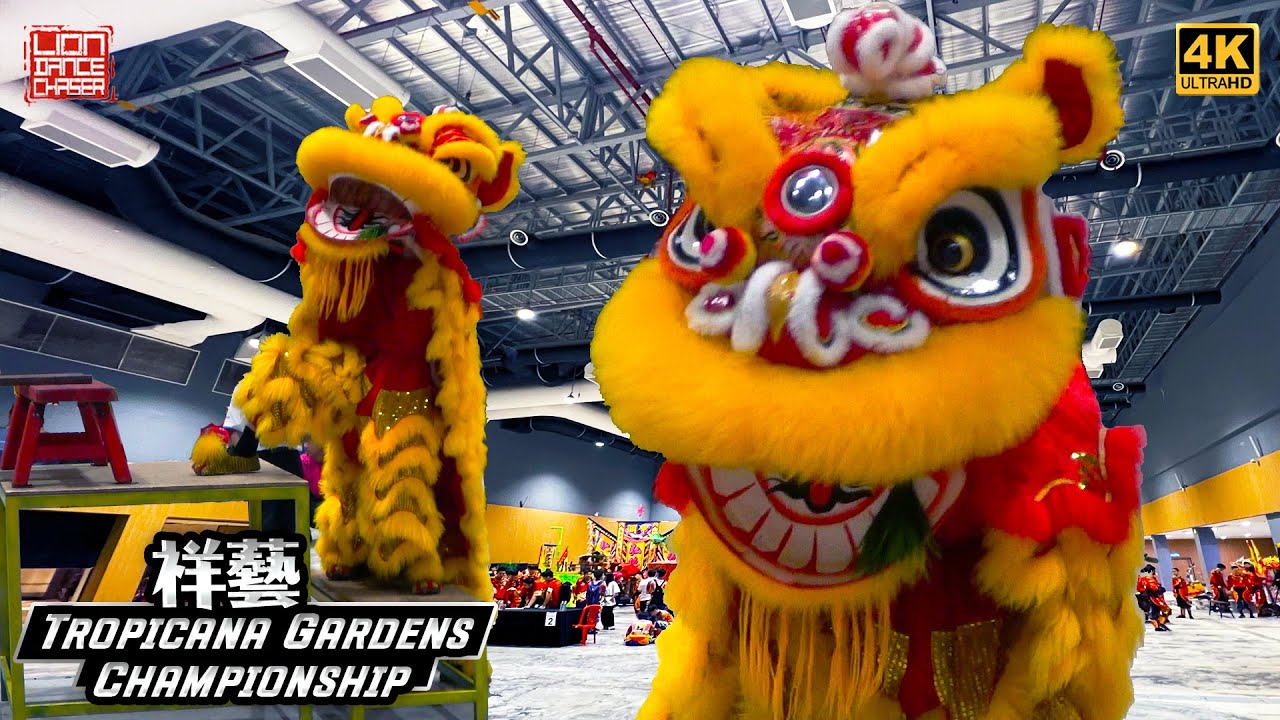 Xiang Yi 祥艺 Team A | Lion Dance Championship @ Tropicana Gardens Mall