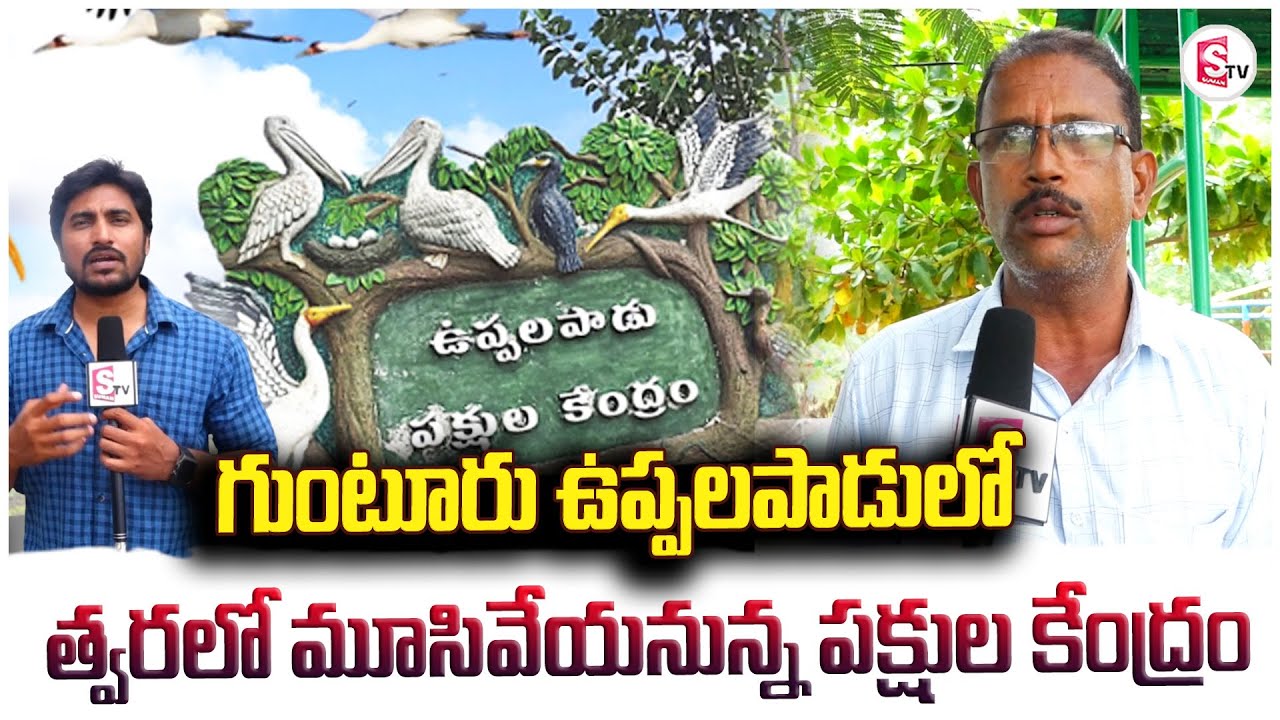 త్వరలో మూసివేయనున్న ఉప్పలపాడు పక్షుల కేంద్రం | Uppalapadu Birds Sanctuary |@Sumantv-Guntur