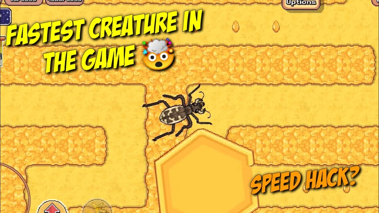 TIGER BEETLE HAS SPEED HACK 😱 | POCKET ANTS