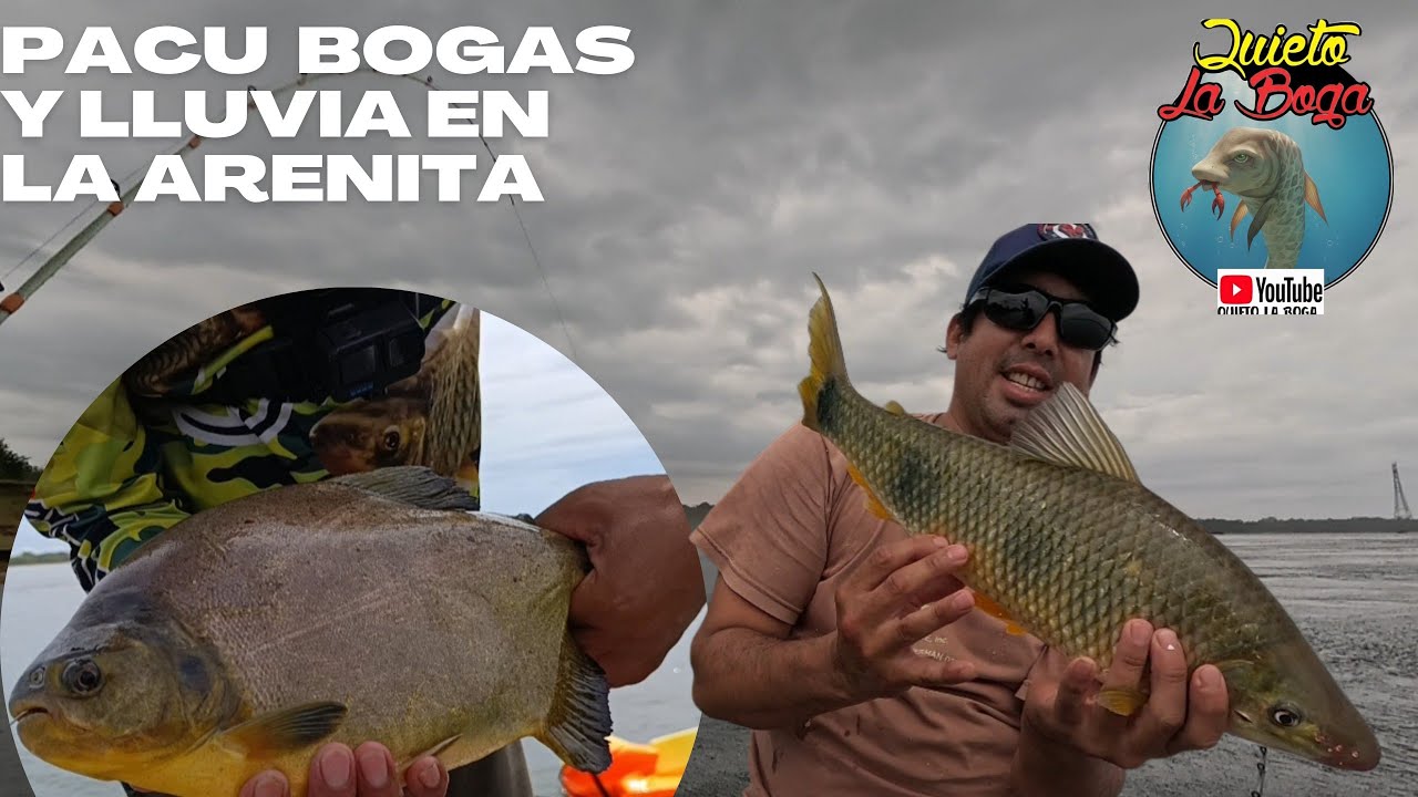 PESCA ENTRE LLUVIA BOGAS Y PACU