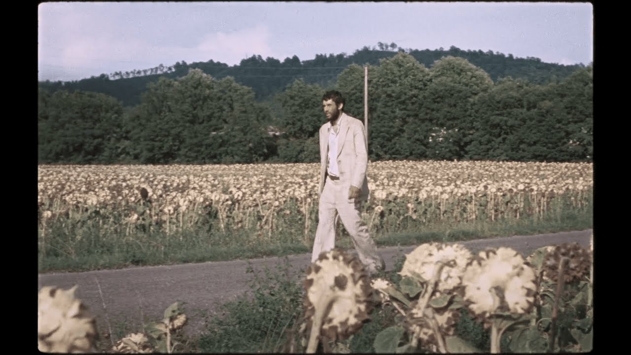 Song from La Chimera - Come gli uccelli in volo (2023)