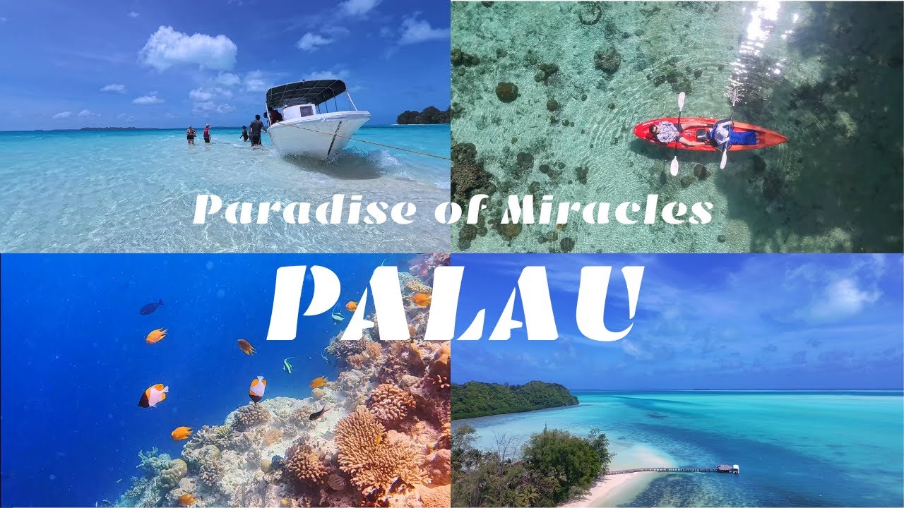 【4K】Amazing PALAU Island hopping and Snorkeling