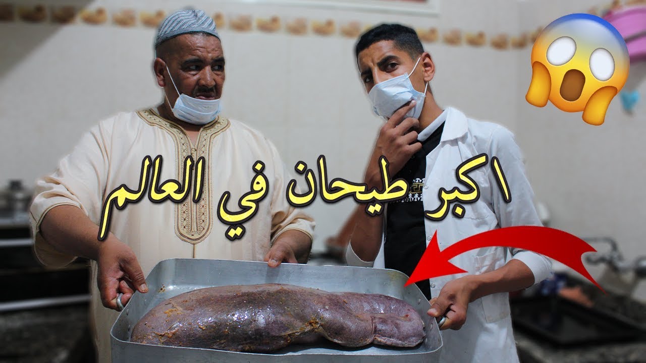 نيبا خلاتو حياة بلا فطور ..قادليكوم طيحان رمضان ونخنوخ خرج ليه عقلو مسكين 😂