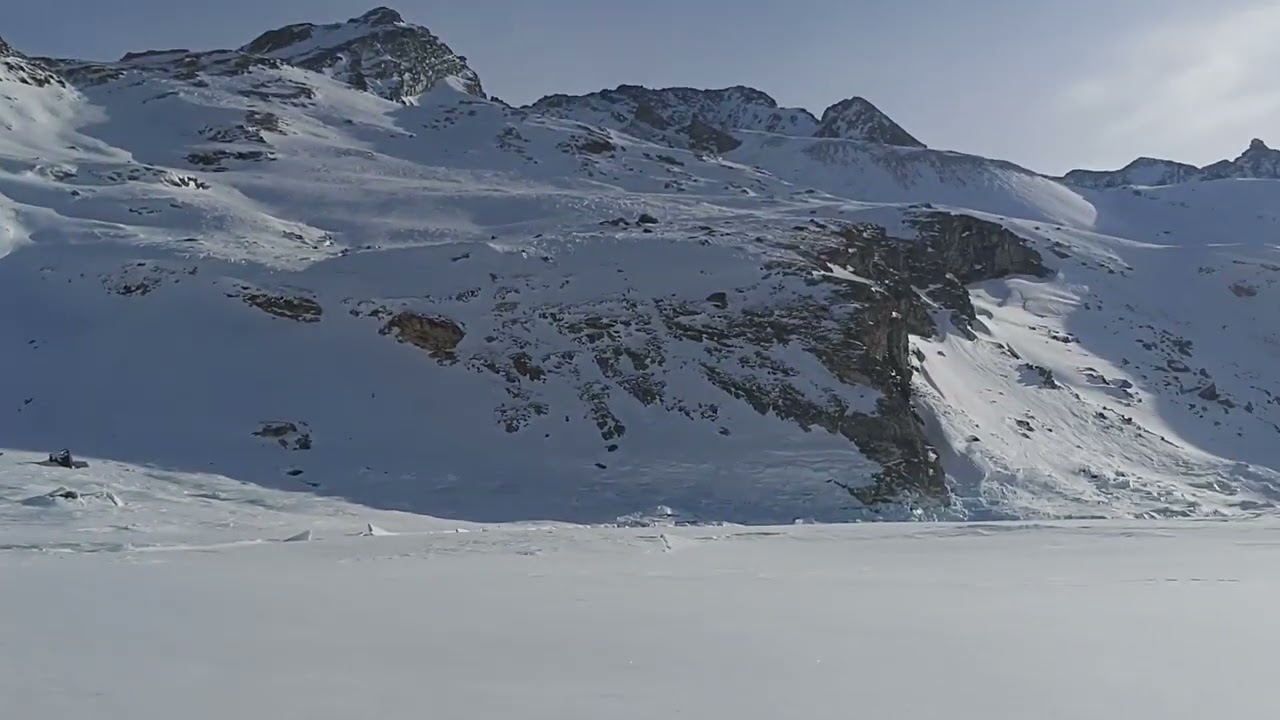 loki louve a la montagne ! un husky dans son élément