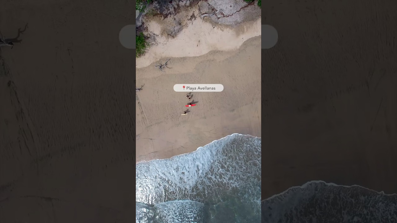 Top Surfing Spots in Costa Rica You Need to Visit