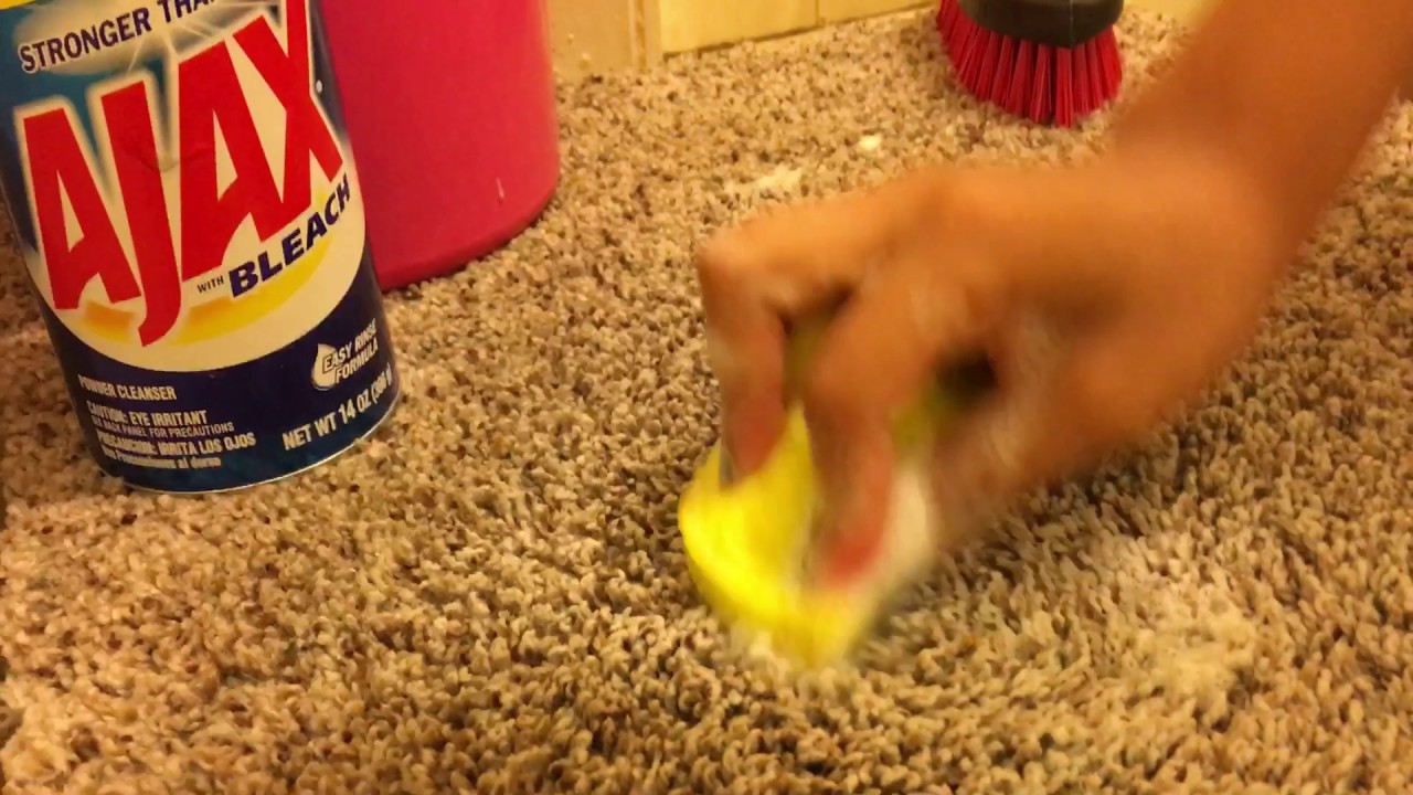 ASMR : CARPET SCRUBBING PART 1