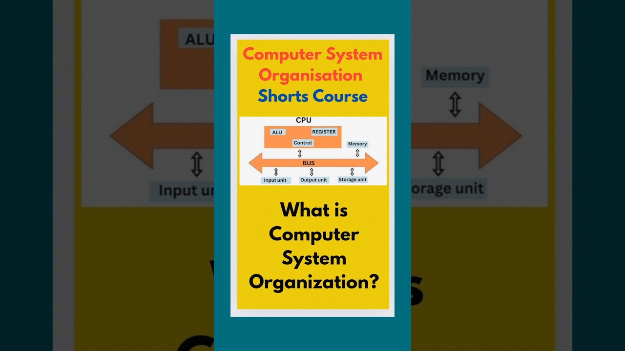 Understanding Computer System Organization