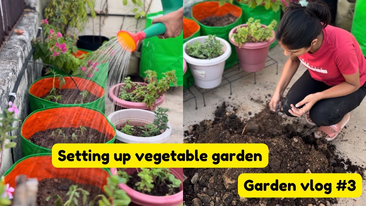 Setting up vegetable garden | sown seeds for winter vegetables | Garden vlog 3 🪴