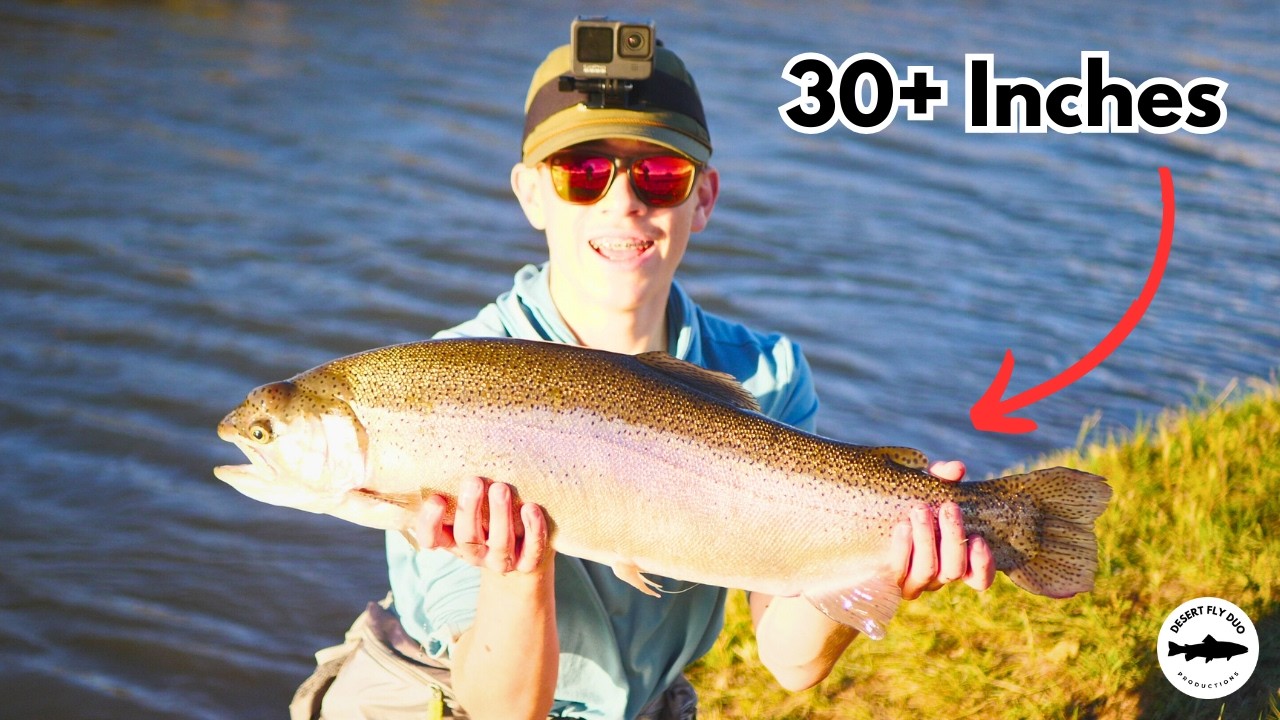 Ultimate Fly Fishing: Hooking Giant Rainbow Trout!