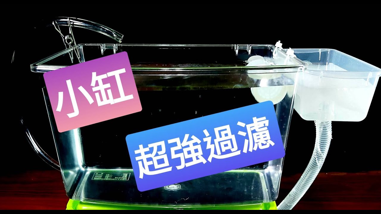 輕鬆養孔雀魚 水族 DIY 比外掛好用 比圓筒便宜 好整理 底部過濾器