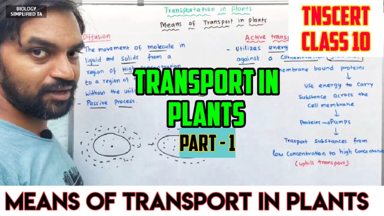 Transport in Plants | Part 1 | Means of transport in plants | TNSCERT CLASS 10
