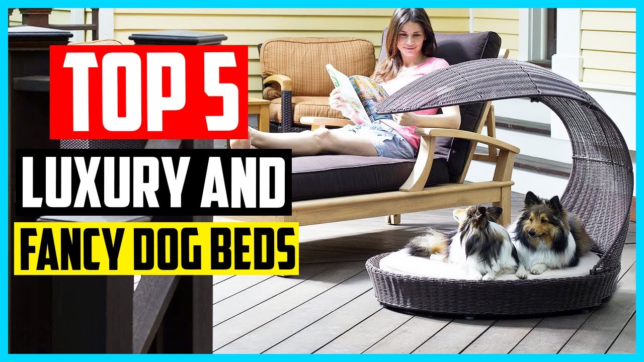 ✅ The 5 Best Luxury and Fancy Dog Beds in 2024