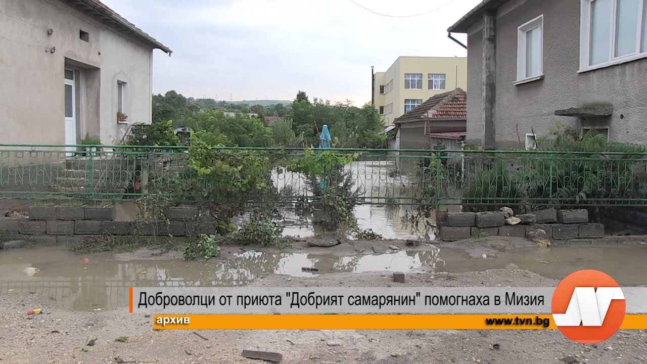 Доброволци от приюта 