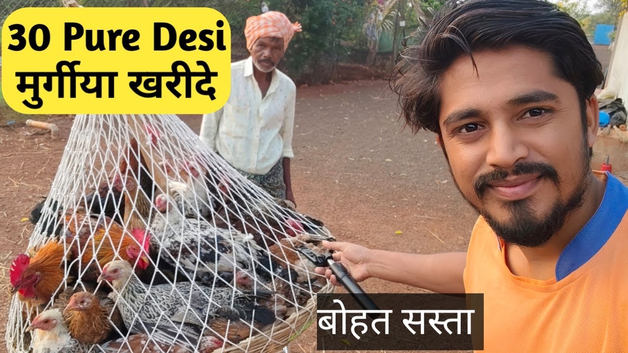 Pure Desi Murgi Kharide 🐓 देसी मुर्गी पालन कैसे करें #farming #business