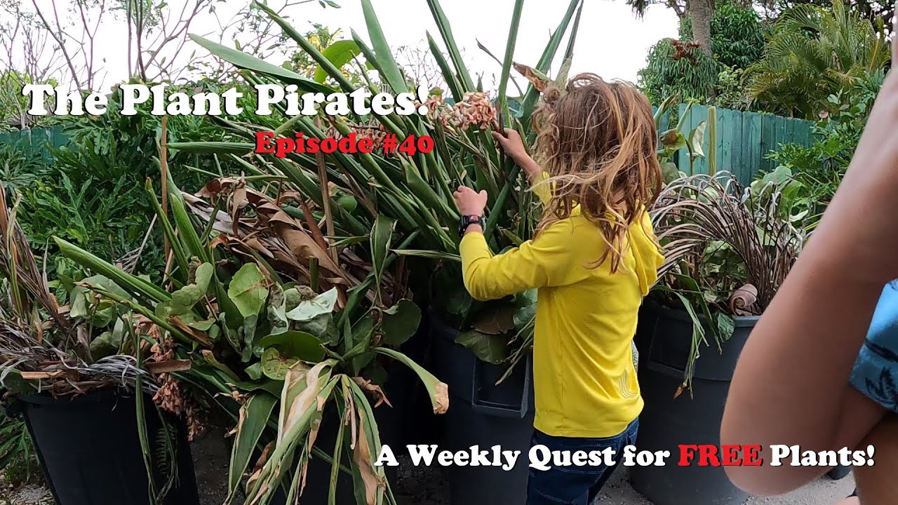 Finding FREE Plants Every Week! |The Plant Pirates Episode #40