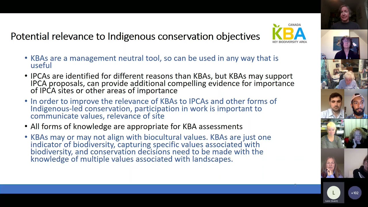 Key Biodiversity Areas in British Columbia: Updates and Next Steps