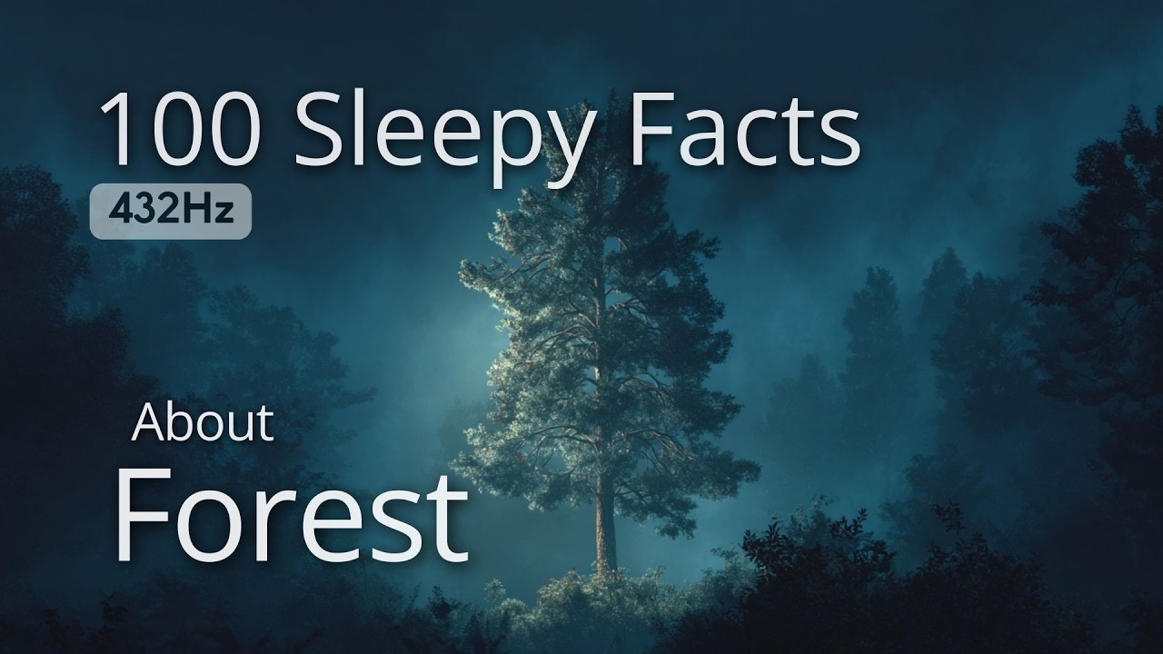 The Most Relaxing Forest Facts to Fall Asleep To — Dreamy Science