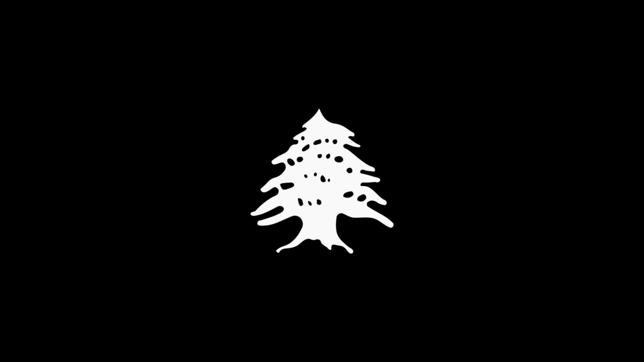 Lady - Mohamed Saad محمد سعد - لادي