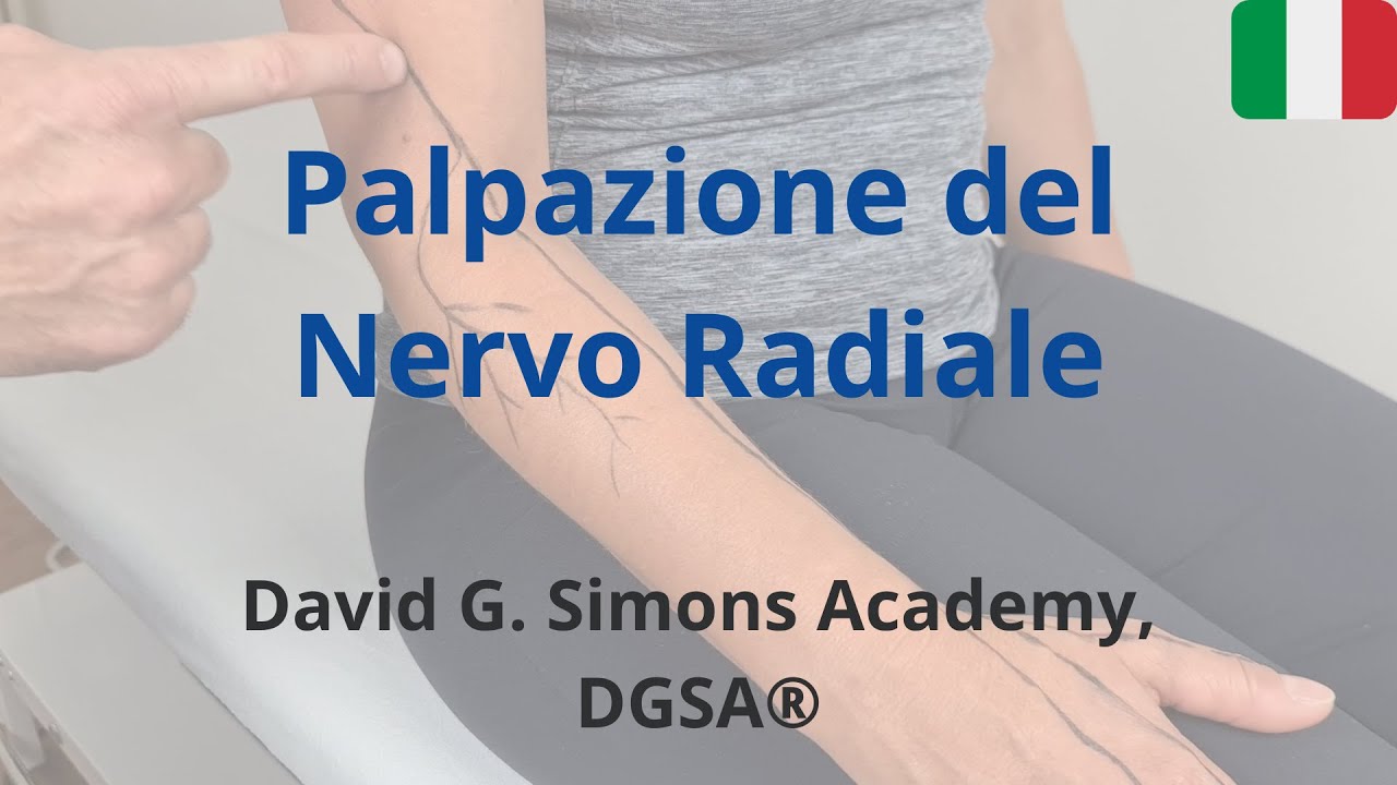 Palpazione del Nervo Radiale