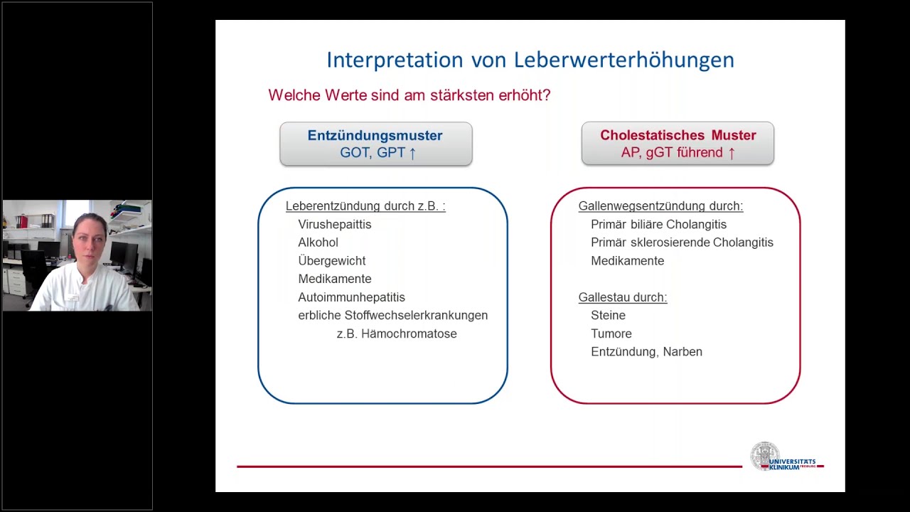 Ärzt*innen Patient*innen Seminar zum Thema Leber
