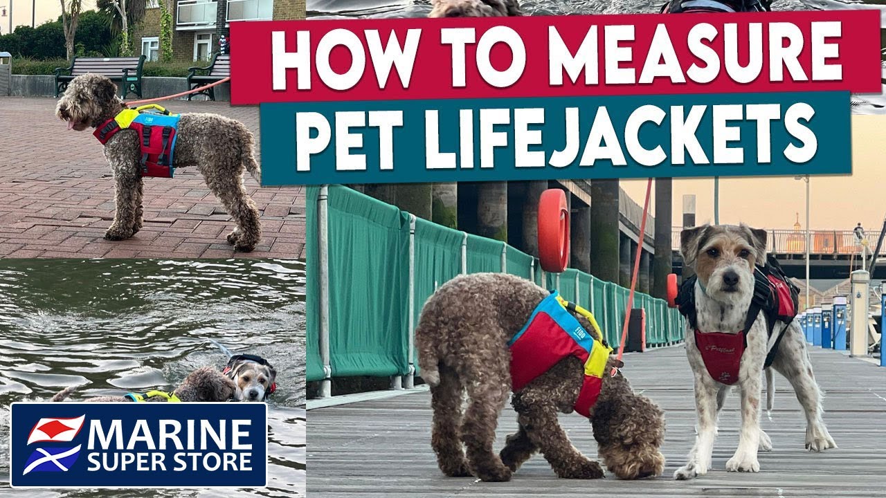 Dog Life Jacket Size Guide &mdash; How to Fit & Measure Safely