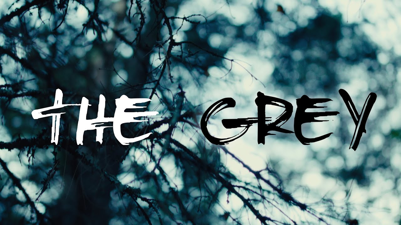 SayWeCanFly - 