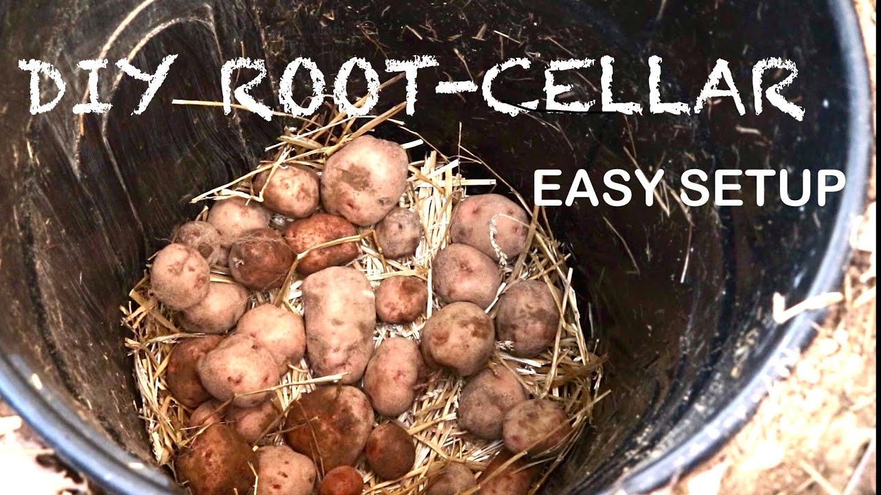 Trash Can Root-Cellar
