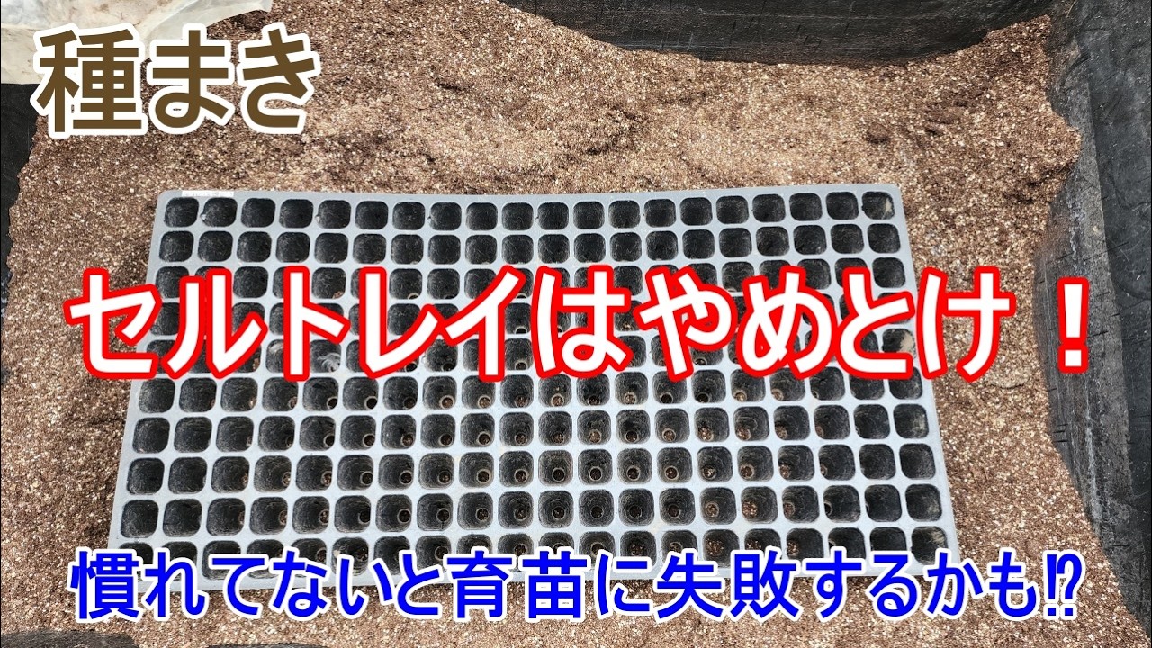 育苗を失敗しないために！【種まき】初心者のセルトレイは危険です！