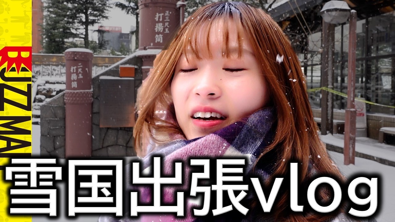 【公務員vlog】大雪の新潟、日帰り出張 #たけチャンネル