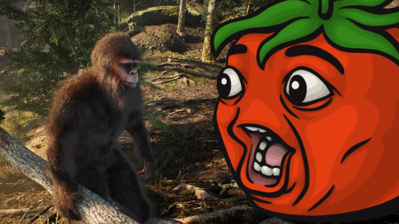 bigfoot is real and it is frankly a miracle they made it this long (Bigfoot Life)