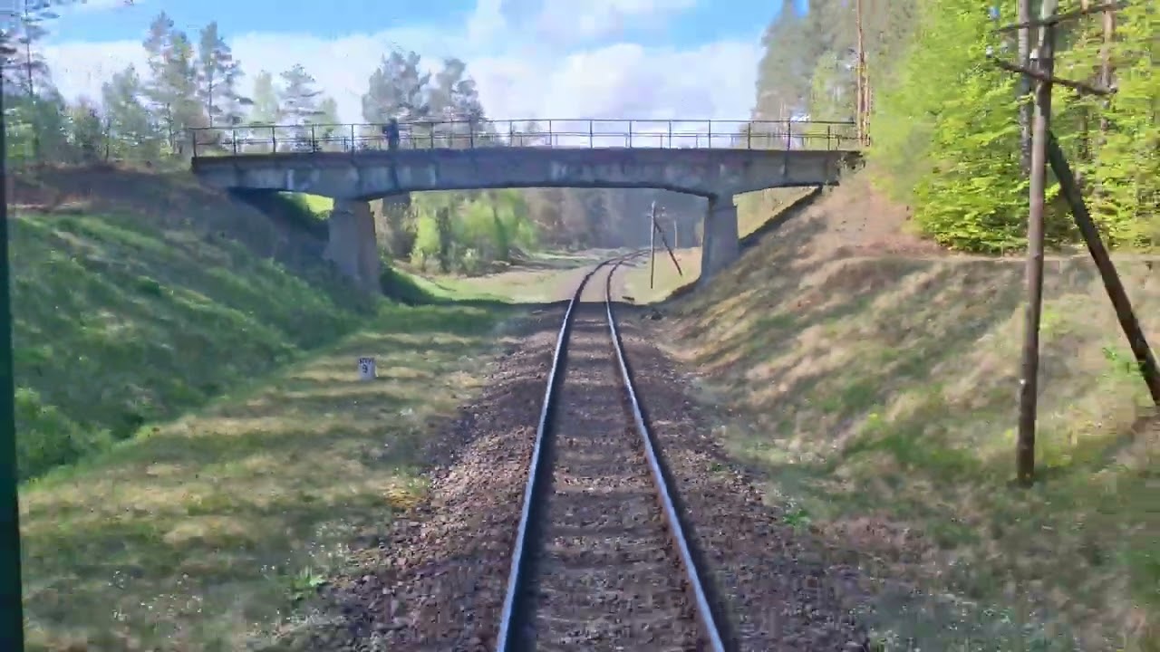 [rearview]: Bąk - Lipowa Tucholska D29:201