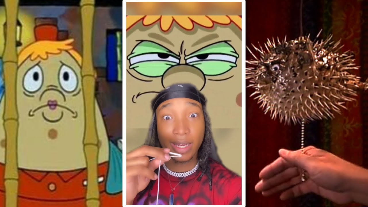 Mr Puff CONSPIRACY THEORY solved years later