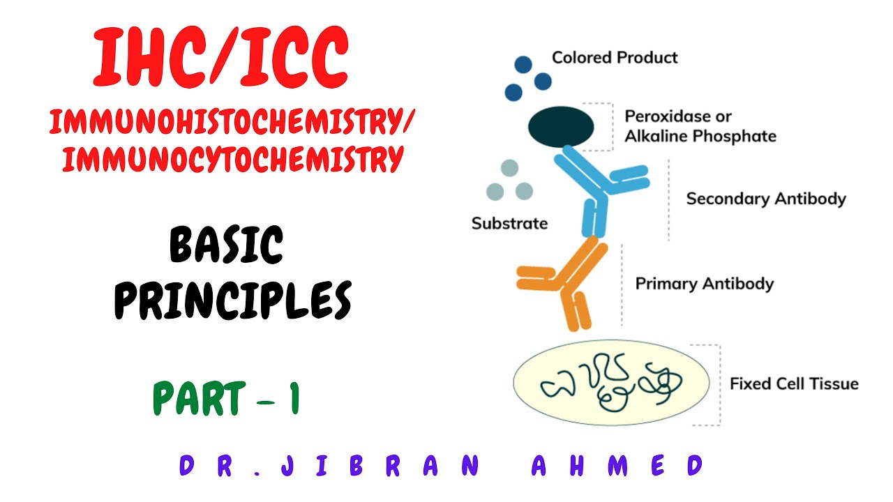 IHC/ICC PART 1 II ADVANCED TECHNIQUES II IMMUNOHISTOCHEMISTRY II IMMUNOCYTOCHEMISTRY II PATHOLOGY